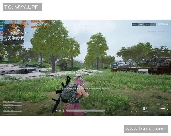 提升和平精英游戏体验的性能优化与网络加速策略探讨